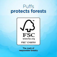 Puffs Ultra Soft Facial Tissues, 1 Family Size Box, 124 Facial Tissues Per Box (Pack of 4)