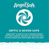 Angel Soft toilet paper packaging with text about septic and sewer safety on a teal background.