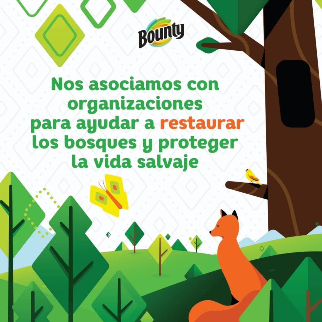 Bounty advertisement with a fox, tree, and butterfly in a forest setting, featuring the Bounty logo.