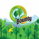 Bounty logo with a forest background