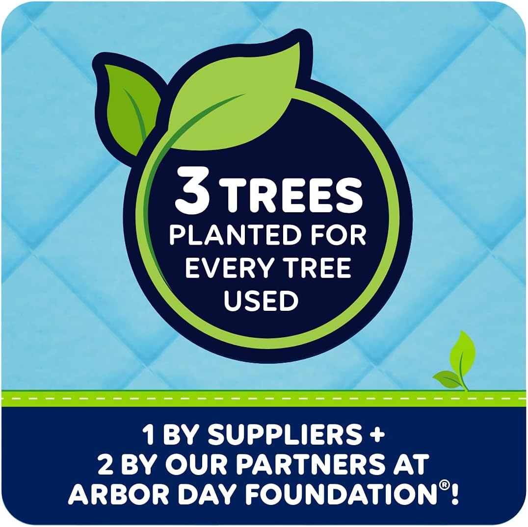 Quilted Northern Ultra Soft & Strong Toilet Paper, 6 Mega Rolls = 24 Regular Rolls, 5X Stronger*, Premium Soft Toilet Tissue