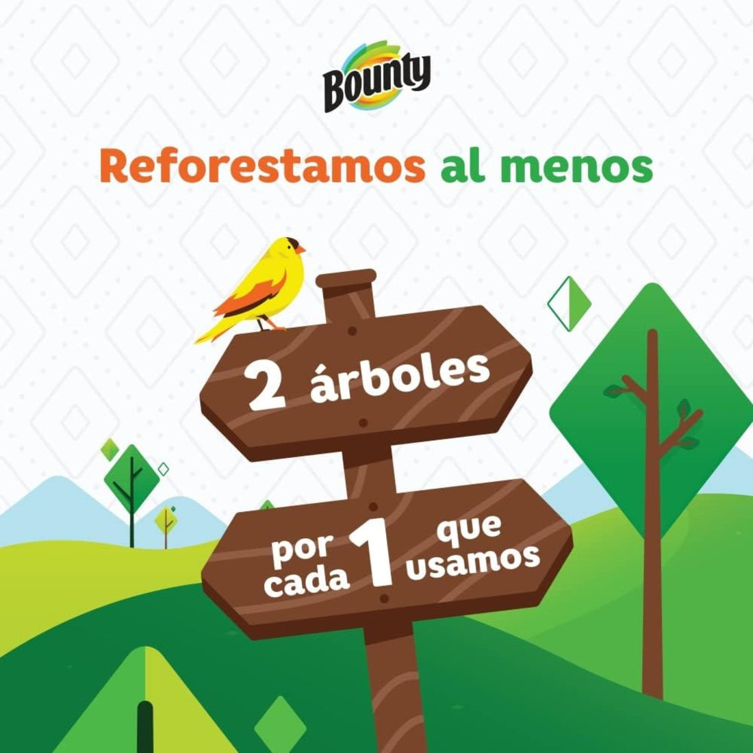 Bounty paper towel package with a bird and tree illustration, promoting tree reforestation.
