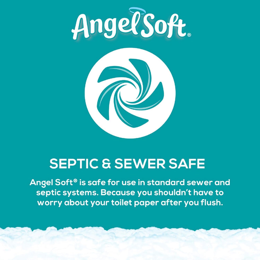 Angel Soft toilet paper packaging with text about septic and sewer safety on a teal background