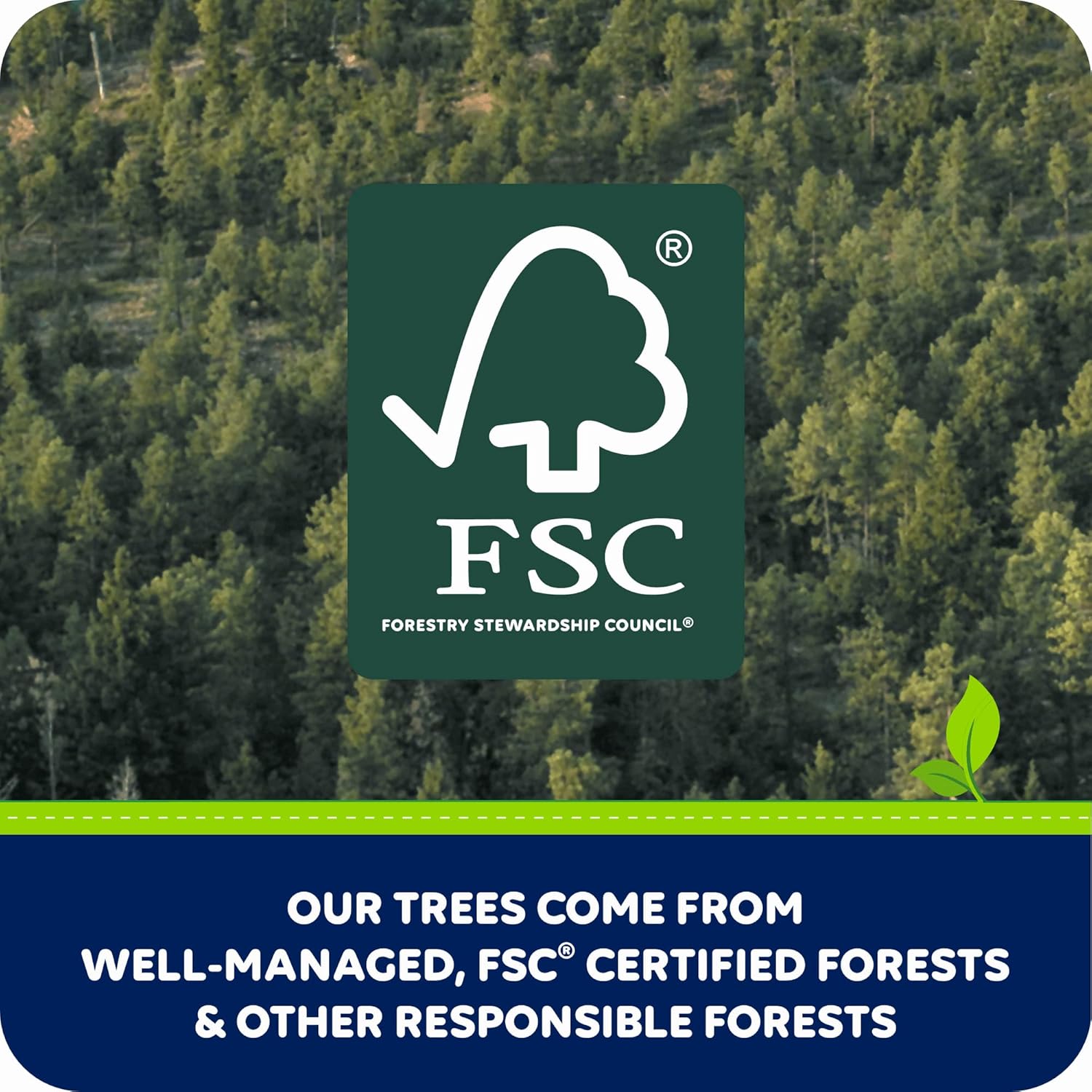 Quilted Northern Ultra Soft & Strong Toilet Paper, 6 Mega Rolls