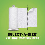 Paper towel roll with stand on a green background, featuring 'Select-A-Size' text.