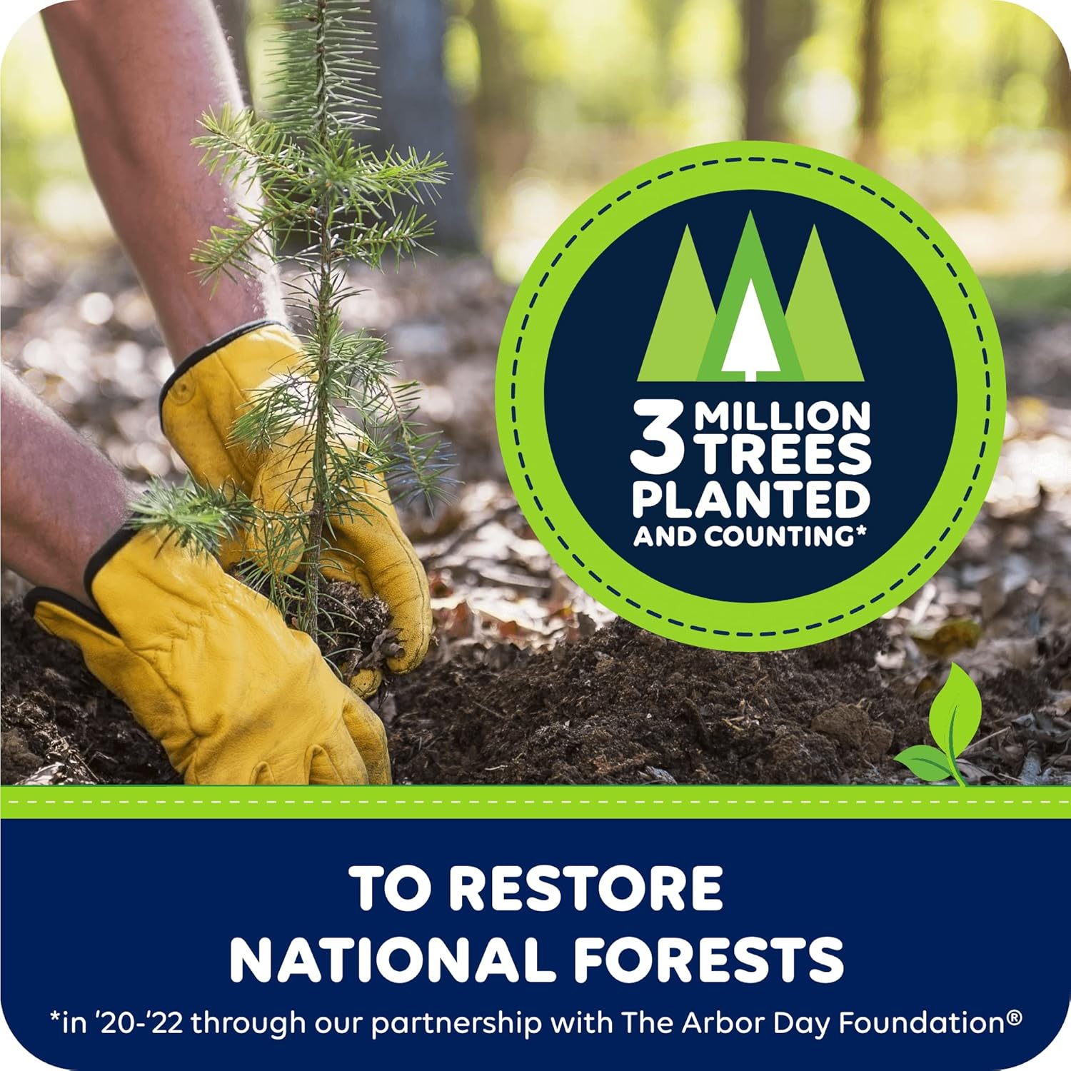 Quilted Northern Ultra Soft & Strong Toilet Paper, 6 Mega Rolls