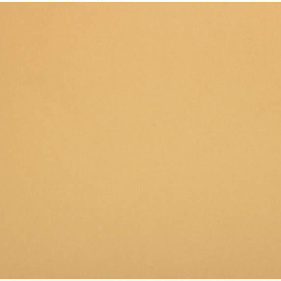 JAM Paper Light Kraft Matte Gift Wrapping Paper, 2 Rolls, 50 Sq. Ft.