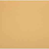JAM Paper Light Kraft Matte Gift Wrapping Paper, 2 Rolls, 50 Sq. Ft.