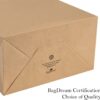 BagDream Kraft Paper Bags 100Pcs 5.25x3.75x8 Inches Small Paper Gift Bags with Handles Bulk, Paper Shopping Bags, Kraft Bags, Party Bags, Brown Bags