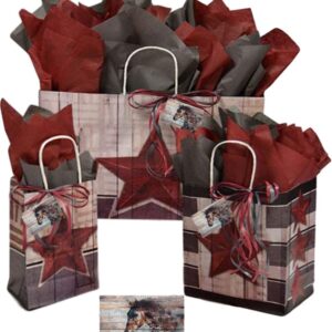 Horse Gift Bags Set Texas Barn Star - Country Cowboy Farmhouse Western Horse Rustic Ranch Themed Bundled with Matching Tissue Paper Tags and Raffia Ribbon (Barn Star)