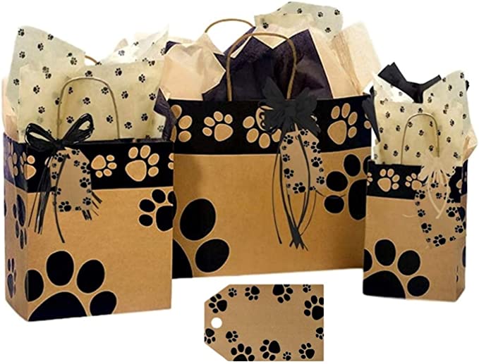 Gift Bags, Assorted Sizes, Bundled with Coordinating Tissue Paper